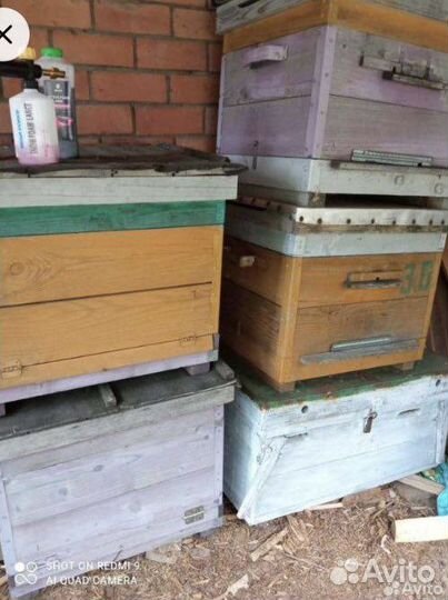 Улей для пчел