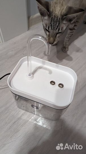 Автоматическая поилка для кошек