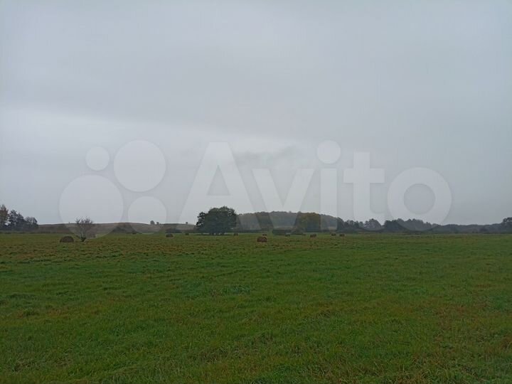 Участок 7,4 сот. (ИЖС)