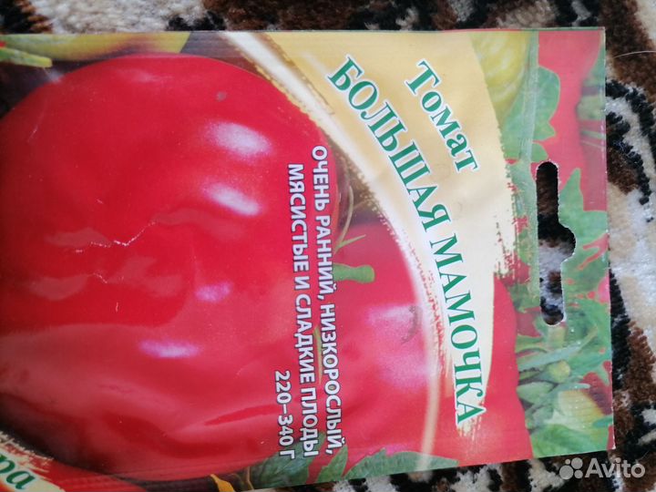 Рассада помидор