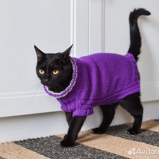 Свитера для собак