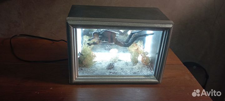 Ночник дайвер