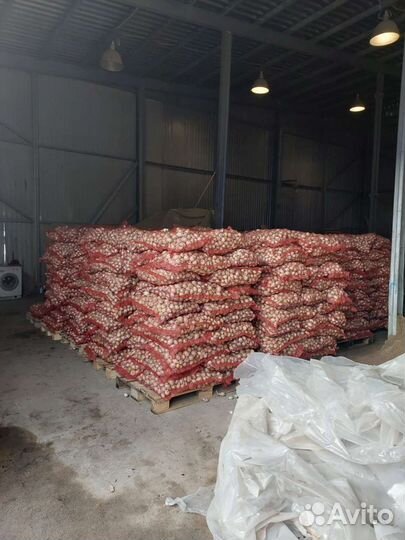 Стардаст Лук на перо