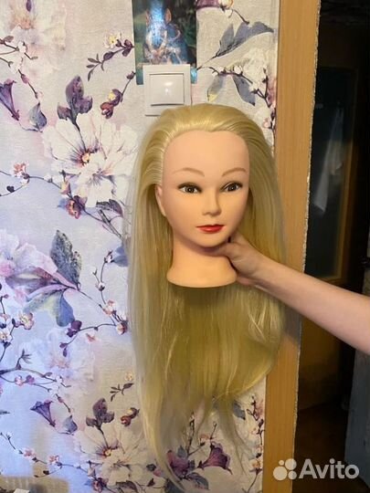 Голова учебная новая
