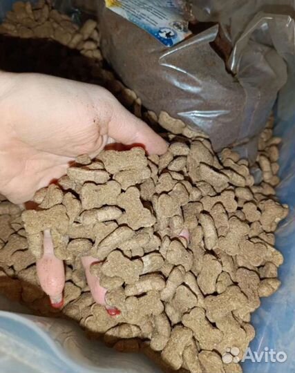 Корм Котогава (Kotogava)