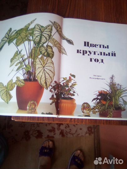 Книга о цветах