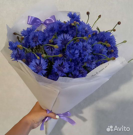 Васильки, букет васильков, васильков с ромашками