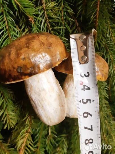 Грибы из папье-маше ручной работы