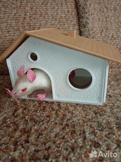 Домик для хомяка, крысы