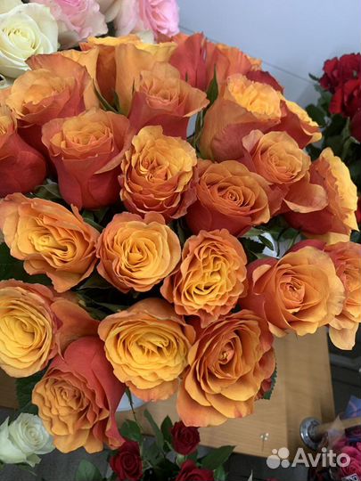 Букеты 25 роз, 51роза, 101роза