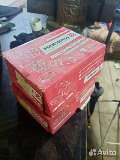 Marshall M2910060