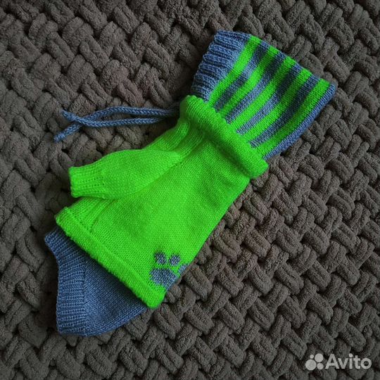 Одежда для маленьких собак