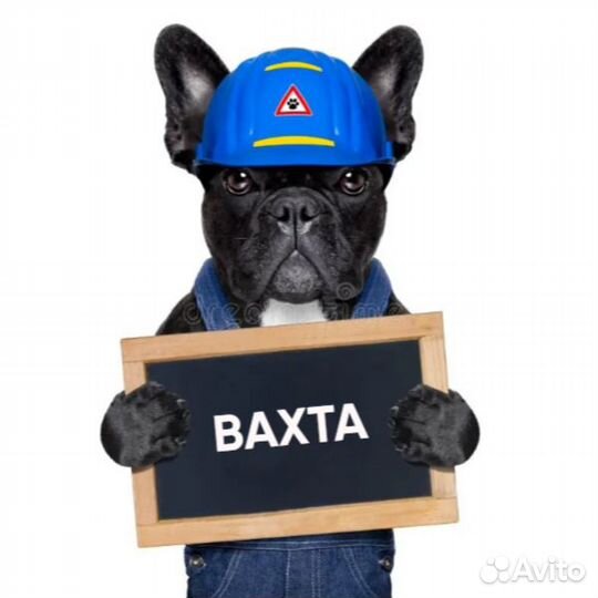 Вахта Разнорабочий