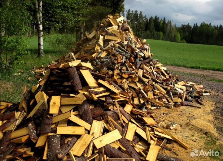 Дрова осина
