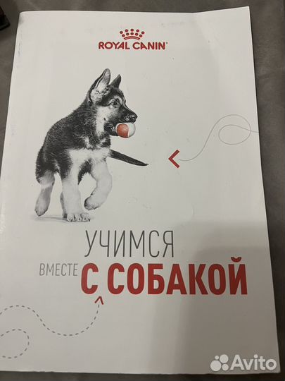 Книжка учимся вместе с собакой