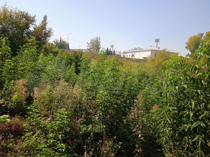 Участок 5 сот. (СНТ, ДНП)