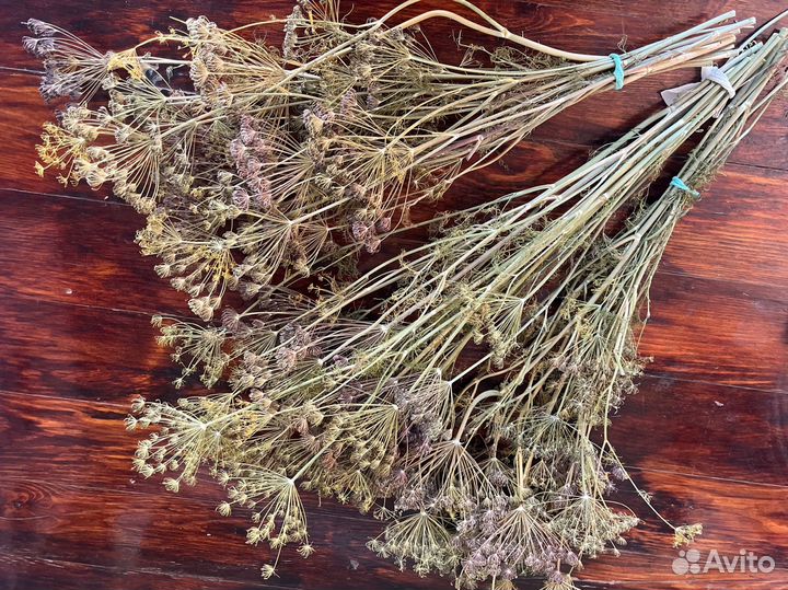 Укроп сушеный