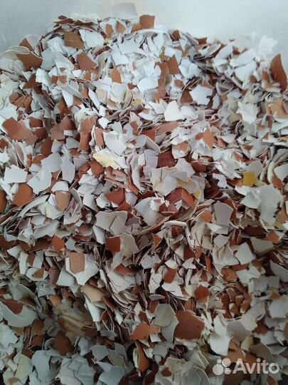 Яичная скорлупа