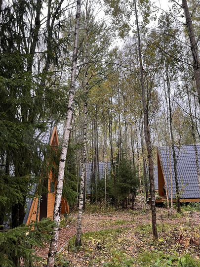 Коттедж 46 м² на участке 10 сот.