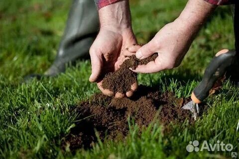 Грунт растительный