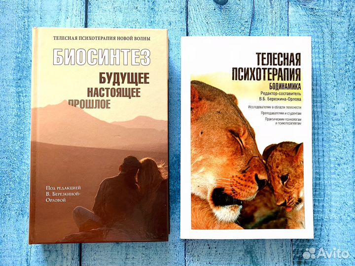 Комплект книг Березкина-Орлова