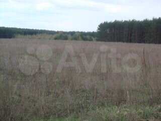 Участок 8,5 га (ИЖС)