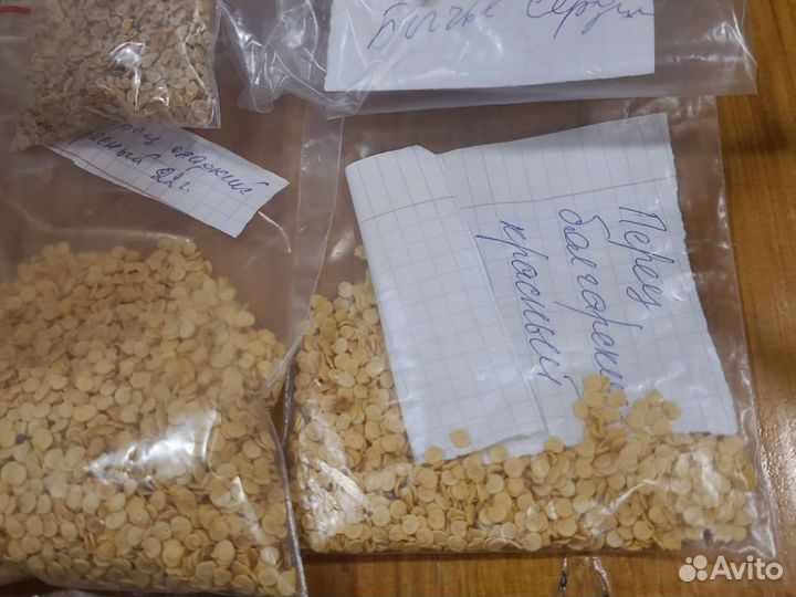 Семена домашних помидор перцев и огурцов