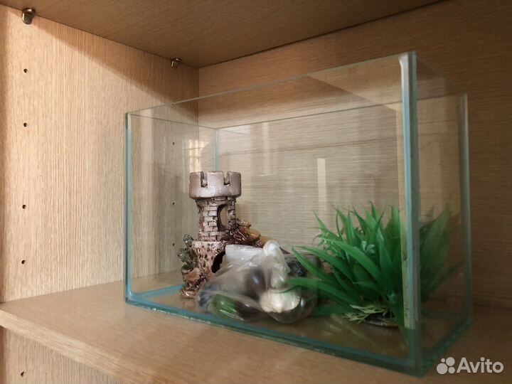 Аквариум