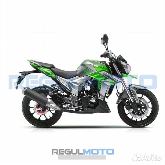 Мотоцикл Регулмото T-Leopard 300 зеленый