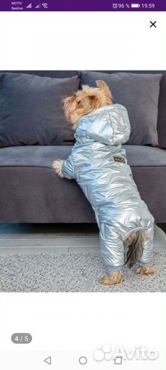 Одежда для животных