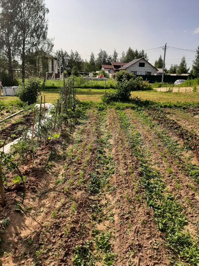 Участок 9 сот. (ИЖС)
