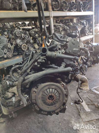 Двигатель Volkswagen Polo 4 (2001 - 2009) 1.4 AMF