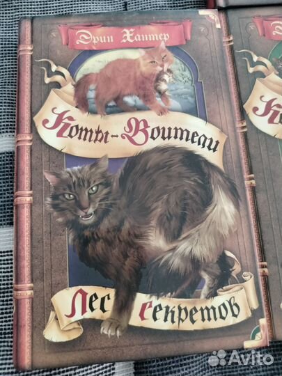 Книги из серии Коты Воители