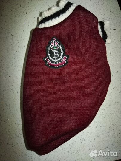 Одежда для маленьких собак