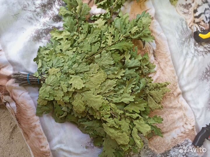 Шикарные Веники 2023г,дубовые, березывые для бани