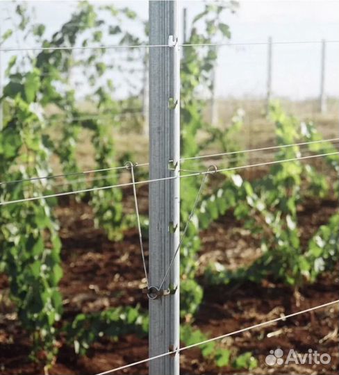 Мантаж шпалерных систем для виноорадников и садов