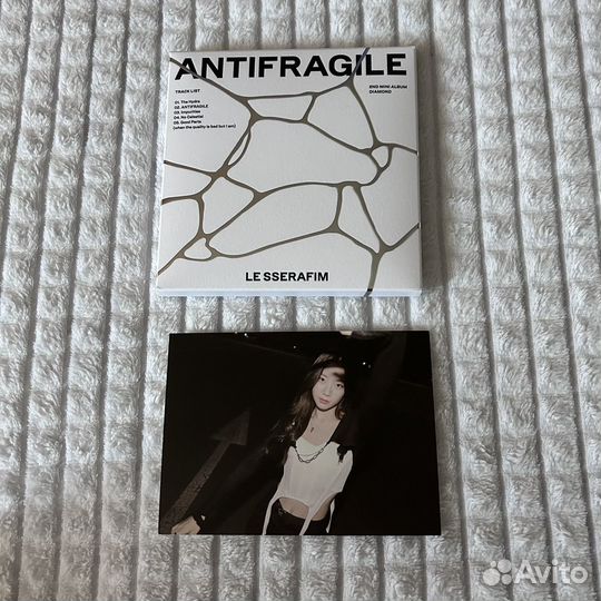 Le serrafim - antifragile compact ver