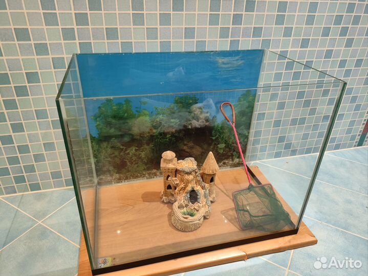 Аквариум