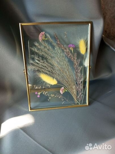 Гербарий в стекле в рамке