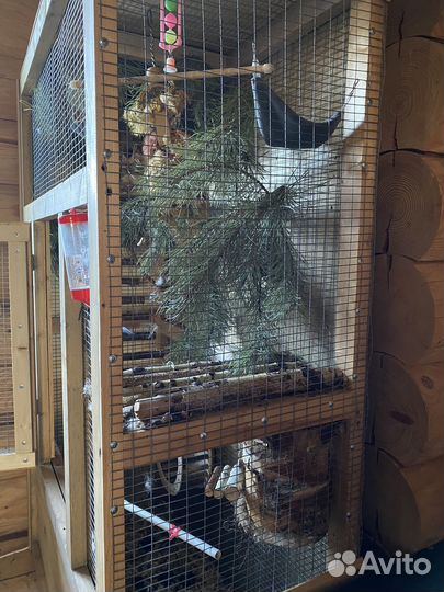 Клетка вольер витрина для шиншиллы, грызунов, птиц