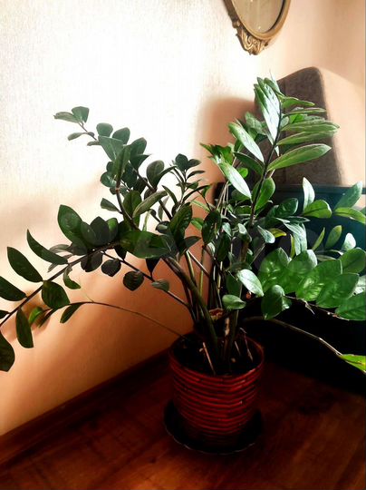 1-к. квартира, 40,8 м², 8/9 эт.