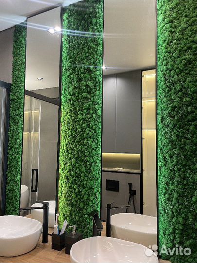 Картины из мха (фитопанели)