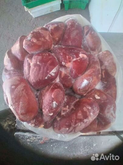 Почки говяжьи и свиные