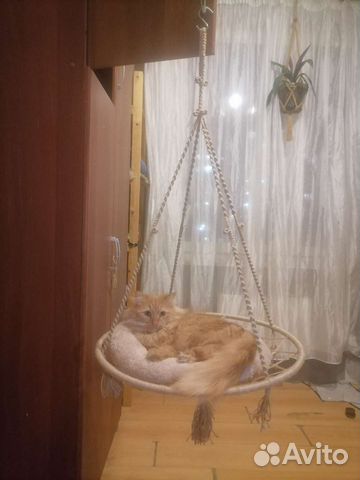Гамак для кошек