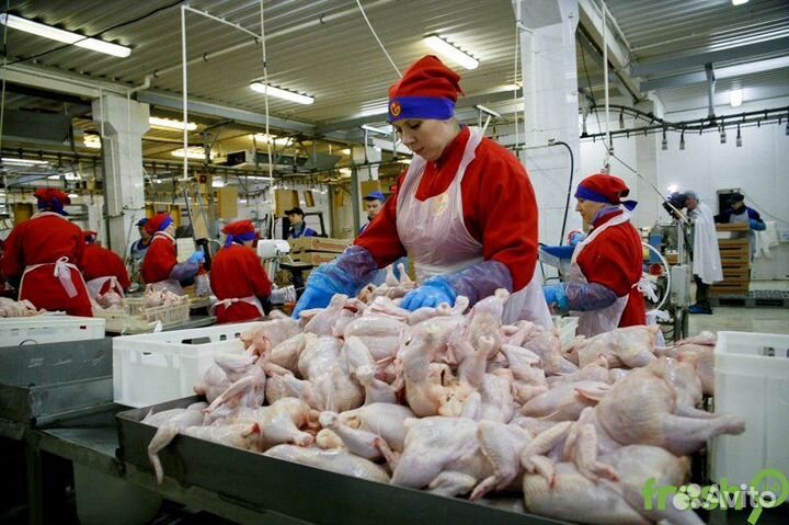 Сортировщик на Мясокомбинат во Владимир/Вахта