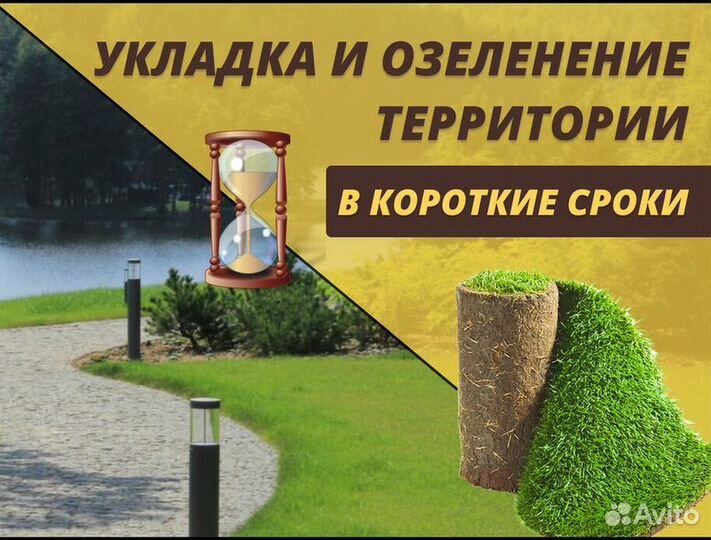Газон рулонный Элитный
