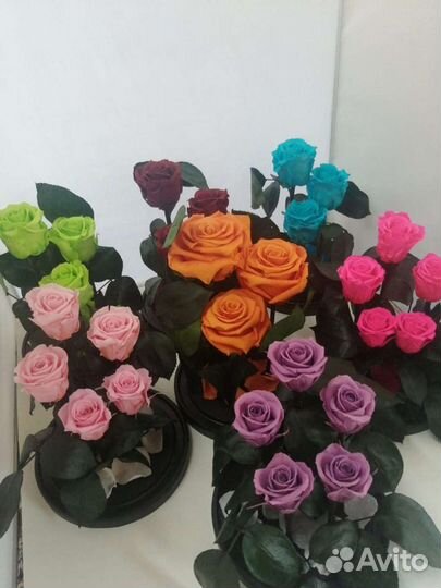 Стабилизированная роза в колбе оптом и в розницу