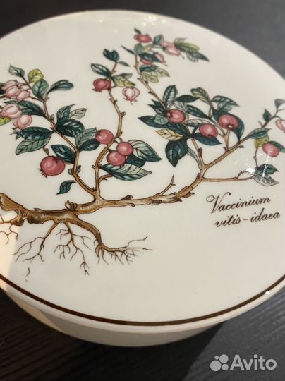 Шкатулка villeroy boch botanica большая
