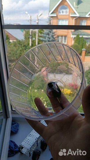 Беговое колесо для грызунов. Не подошло