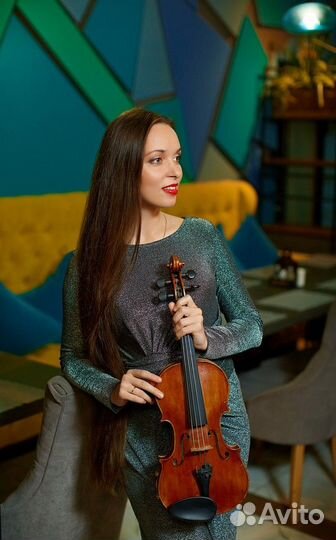 Скрипка на праздник, на свадьбу